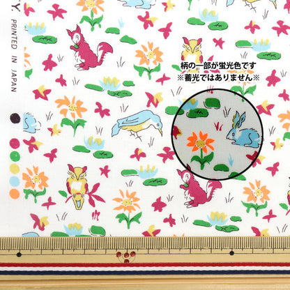 [来自数量5] 织物 "自由霓虹色 塔纳草坪 Oscarneon 3339255SP-J23C" 日本自由