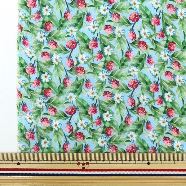 [來自數量5] 織物 “ Liberty Fabric Liyosel草坪布 Fiff Berry的DC30109-DS" Liberty Japan