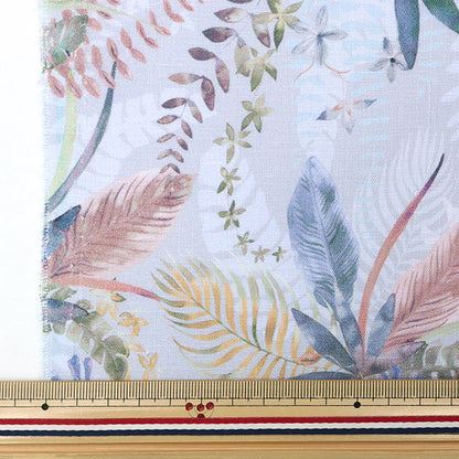 [来自数量5] 织物 “ Liberty Fabrager Flanders亚麻AOI 3633120-J23C" Liberty Japan