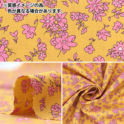 [來自數量5] 織物 “自由結構 塔納草坪 ALNEM DC32596-C" Liberty Japan