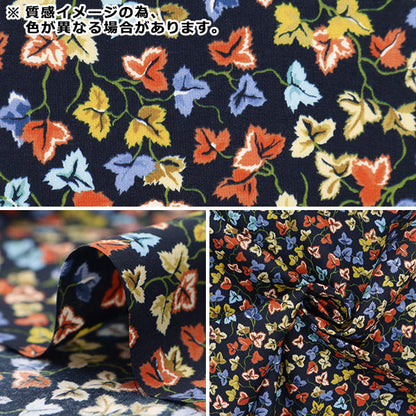 [来自数量5] 织物 “自由结构 塔纳草坪 Diensus 36333234-23ct" Liberty Japan
