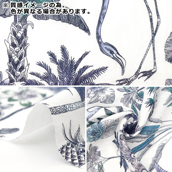 [From quantity 5] Fabric "Liberty Fabric Flanders Linder Winds Journey 3634108-24B" Liberty Japan
