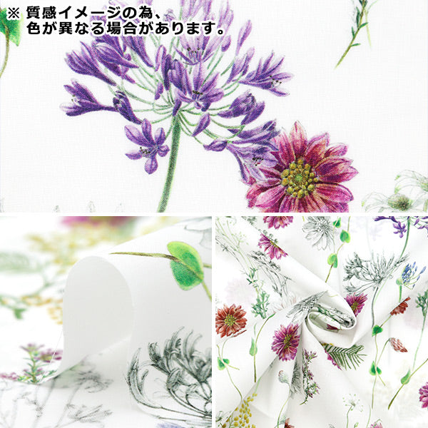 [来自数量5] 织物 “自由结构 塔纳草坪 波尔卡花卉363J4216-24CU" Liberty Japan