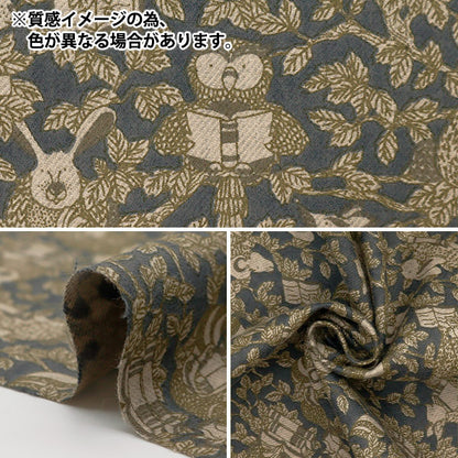 [来自数量5] 织物 “自由织物Air Cottwood Land图书馆DC32583-J24B" Liberty Japan