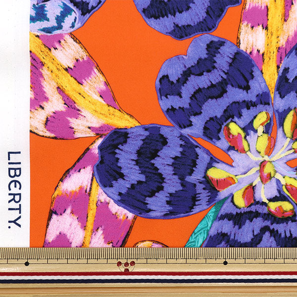 [来自数量5] 织物 “自由结构 塔纳草坪 领先的LEDDY 363510625BU" Liberty Japan