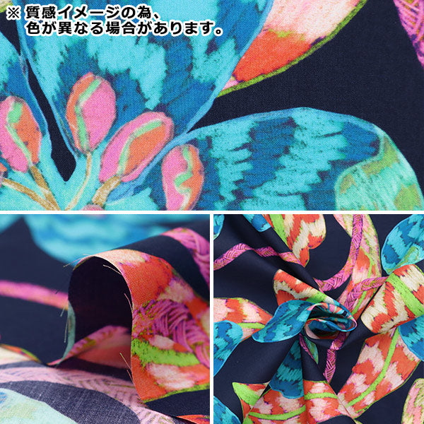 [来自数量5] 织物 “自由结构 塔纳草坪 领先的LEDDY 363510625BU" Liberty Japan