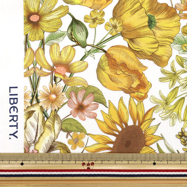 [来自数量5] 织物 “自由结构 塔纳草坪 花卉缪斯363514025BU" Liberty Japan