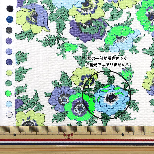 [数量从5开始] 织物 “自由面料11帆布Madeline 3635124-J25C" Liberty Japan