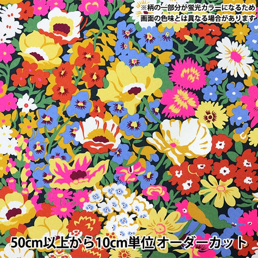 [数量从5开始] 织物 “自由织物第11号帆布路索普3635191-J25A" Liberty Japan