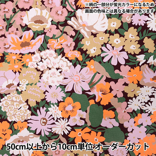 [数量从5开始] 织物 “自由织物第11帆布路索普3635191-J25B" Liberty Japan