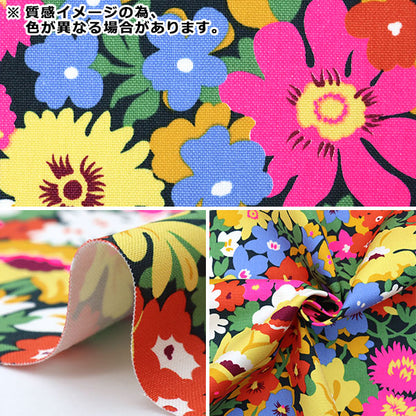 [数量从5开始] 织物 “自由织物第11帆布路索普3635191-J25B" Liberty Japan