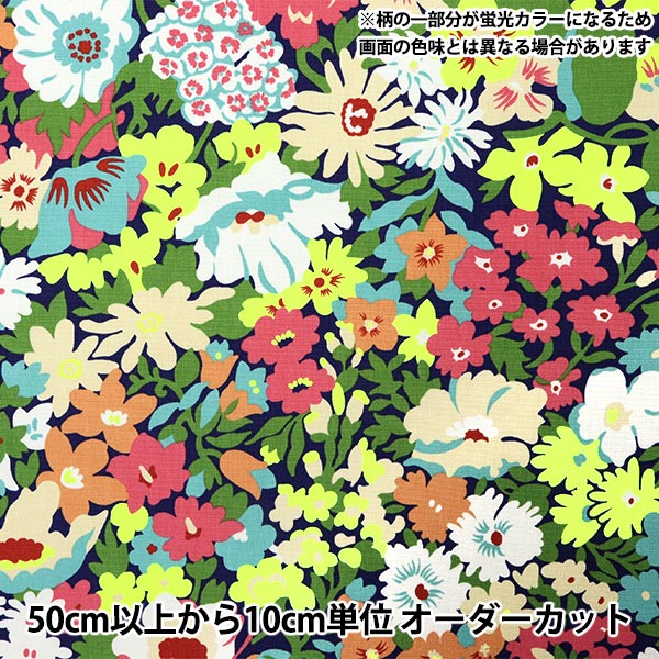 [数量从5开始] 织物 “自由织物11号帆布路索普3635191-J25C" Liberty Japan