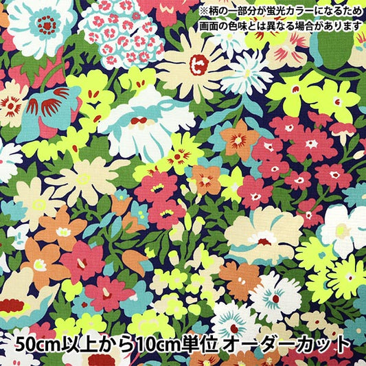 [数量从5开始] 织物 “自由织物11号帆布路索普3635191-J25C" Liberty Japan