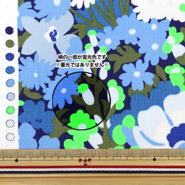 [数量从5开始] 织物 “自由织物第11帆布路索普3635191-J25D" Liberty Japan