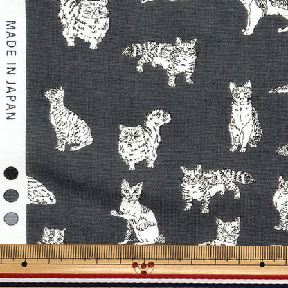 [数量从5开始] 织物 “自由面料60/2 tenjiku Miaou DC32576-yk" Liberty Japan