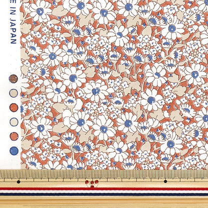[数量从5开始] 织物 “自由织物Piccadilly Poplin Alice W 3635152-yp" Liberty Japan
