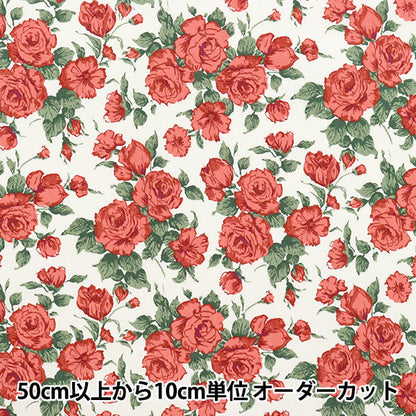 [Quantity starting from 5] Fabric "Liberty Fabrics Piccadilly Poplin Car Line 3637075-XP" Liberty Japan