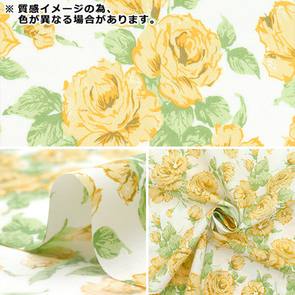 [Quantity starting from 5] Fabric "Liberty Fabrics Piccadilly Poplin Car Line 3637075-YP" Liberty Japan