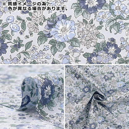 [数量从5开始] 织物 “自由织物Piccadilly Poplin Claire Rich 3633103-ZP" Liberty Japan