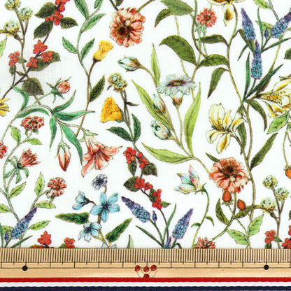 [数量从5开始] 织物 “自由织物Sylph”草坪布 Megumi 3633126-CS" Liberty Japan