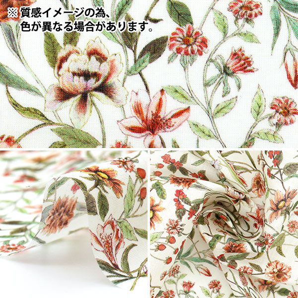 [数量从5开始] 织物 “自由织物Sylph”草坪布 Megumi 3633126-ys" Liberty Japan