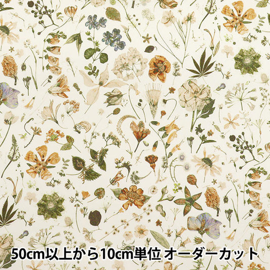 [Quantity starting from 5] Fabric "Liberty Fabrics" Tana lawn Floral Eve 3633189-J25B" Liberty Japan