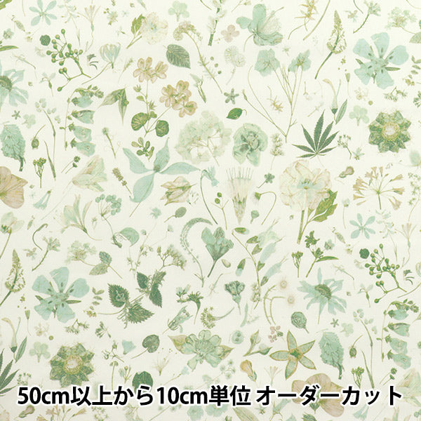 [数量从5开始] 织物 “自由织物” 塔纳草坪 花期3633189-J25E" Liberty Japan