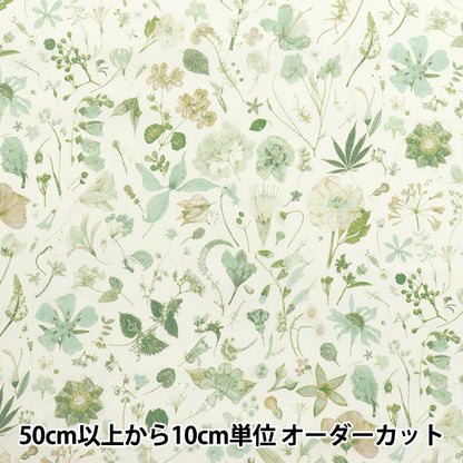 [数量从5开始] 织物 “自由织物” 塔纳草坪 花期3633189-J25E" Liberty Japan