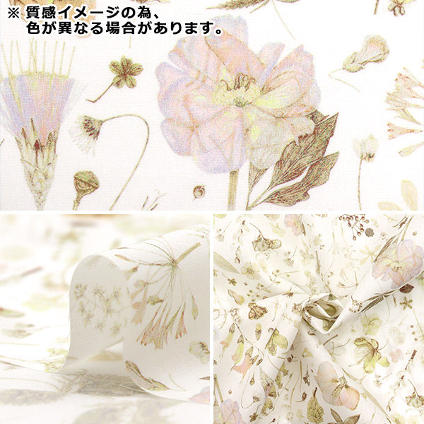 [数量从5开始] 织物 “自由织物” 塔纳草坪 花期3633189-J25E" Liberty Japan