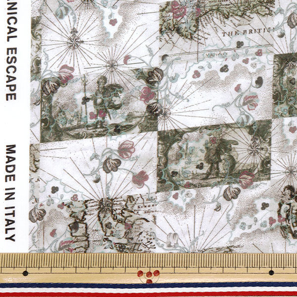 [数量从5开始] 织物 “自由织物” 塔纳草坪 蜜月地图363J7413-25CU" Liberty Japan