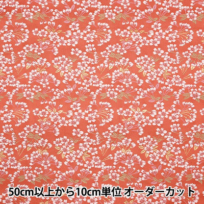 [From quantity 5] Fabric 『Gold Brocade Rakuri Ray Torso Color 155-11092]