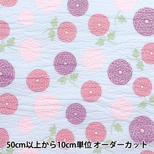 [数量从5开始] 织物 “ Ripple Children's Dimples系列Ponpongiku Blue ECB-54-BL" KIYOHARA