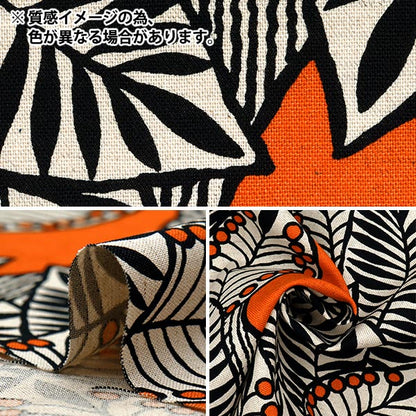 [Quantity starting from 5] Fabric "Usako fabric, cotton, linen canvas, botanical, black, UP5879-B" COTTON KOBAYASHI