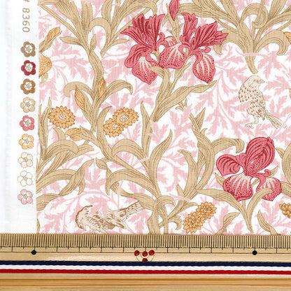 [数量从5开始] 织物 "Moda Best Morris 板材织物 虹膜粉红色8360-62"