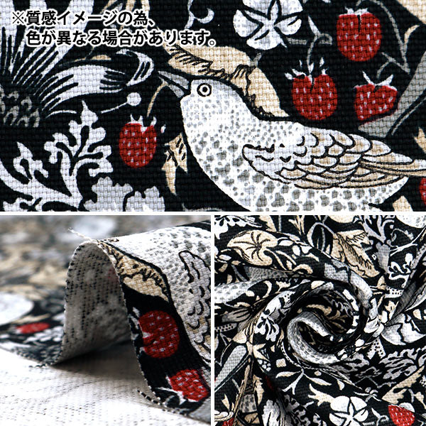 [From quantity 5] Fabric "Moda Best of Morris Oxford Strawberry Safe Navy x Red 8176-56T"