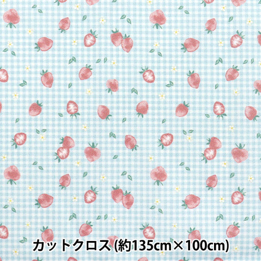 生地 『すごく水をはじく抗菌防臭超撥水ポリエステル カットクロス 約135cm×100cm ストロベリーチェック ブルー C-HP-SC-ST-BL』