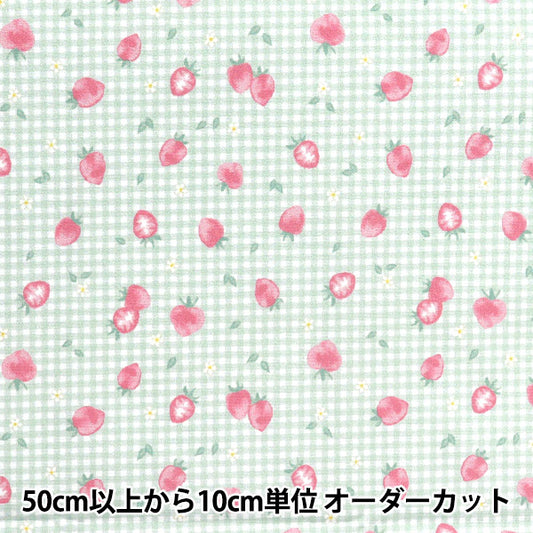 生地 『すごく水をはじく抗菌防臭超撥水ポリエステル カットクロス 約135cm×100cm ストロベリーチェック ミント C-HP-SC-ST-MT』
