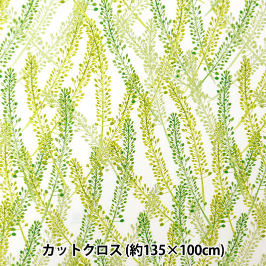 Fabric "Super Water-Repellent Polyester Pattern Designer Maya Series Nazuna Cut Cloth Approx. 135cm x 100cm CINMA-HNAZ-GN"