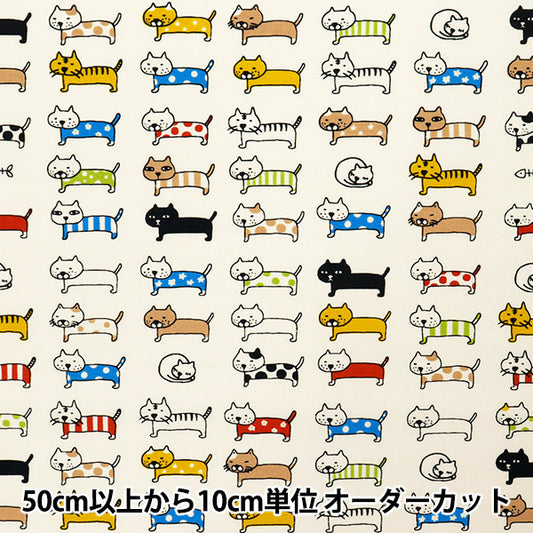 [数量从5开始] 织物 “尼龙塔斯兰对齐的猫象牙kts6728-a" COTTON KOBAYASHI