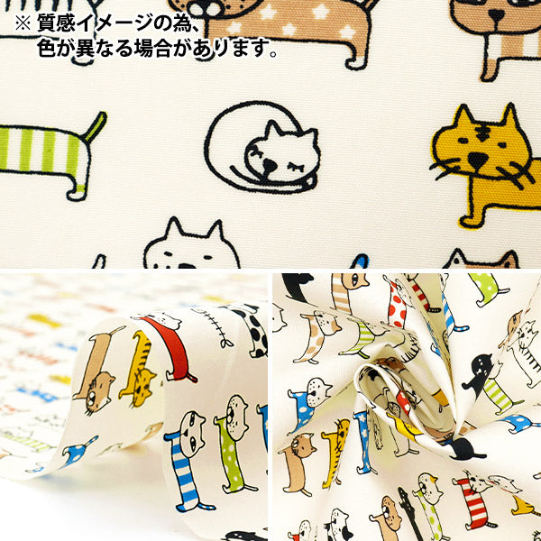 [数量从5开始] 织物 “尼龙塔斯兰对齐猫海军KTS6728-D" COTTON KOBAYASHI