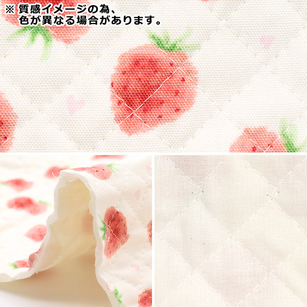 Fabric "Colorful Canvas" OxfordQuilt Strawberry Approx. 106 x 50cm Soft Mint CQ-STAWB22C"