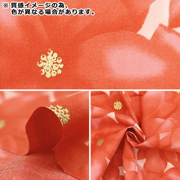 Fabric "Christmas print Cut Cloth Pointsettia about 108cm x 50cm beige C-DX10532L-A "