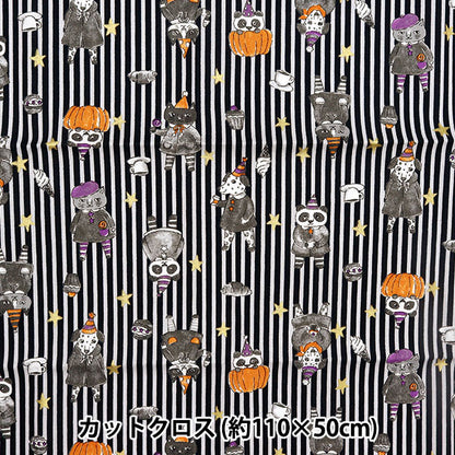 Fabric 『Sheeting Halloween stripe Cut Cloth Approximately 110cm x 50cm black C-YG-76020-1B" KOKKA