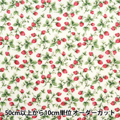 [Quantity starting from 5] Fabric "Broad Strawberry Ivory KTS7090-A" COTTON KOBAYASHI