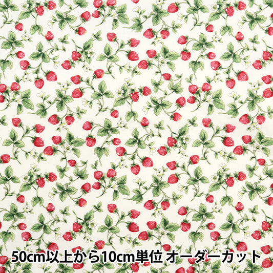 [Quantity starting from 5] Fabric "Broad Strawberry Ivory KTS7090-A" COTTON KOBAYASHI