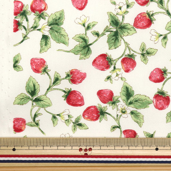 [Quantity starting from 5] Fabric "Broad Strawberry Ivory KTS7090-A" COTTON KOBAYASHI