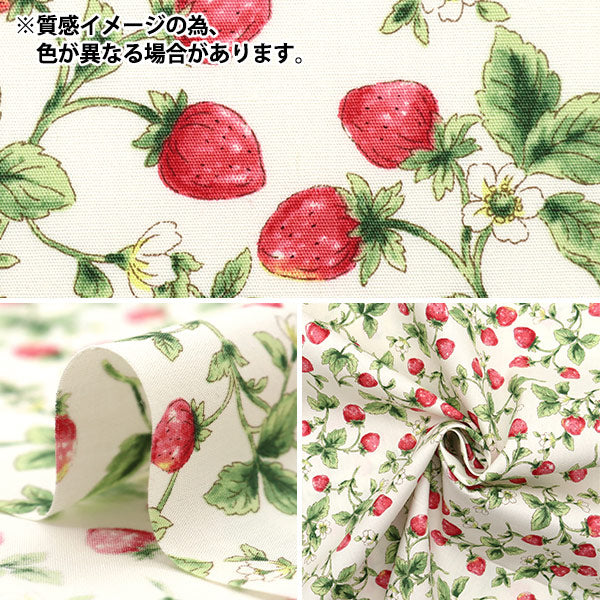 [Quantity starting from 5] Fabric "Broad Strawberry Black KTS7090-F" COTTON KOBAYASHI