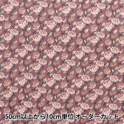 [Quantity starting from 5] Fabric "Broad Has Pink KTS7077-A" COTTON KOBAYASHI