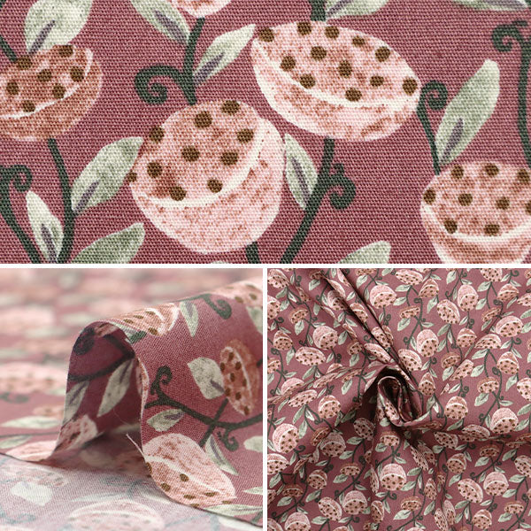 [Quantity starting from 5] Fabric "Broad Has Pink KTS7077-A" COTTON KOBAYASHI
