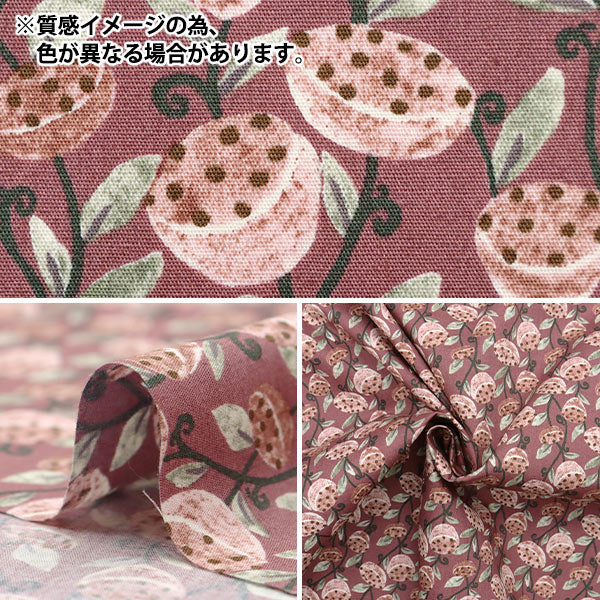 [Quantity starting from 5] Fabric "Broad Hasu Shiro x Blue KTS7077-E" COTTON KOBAYASHI